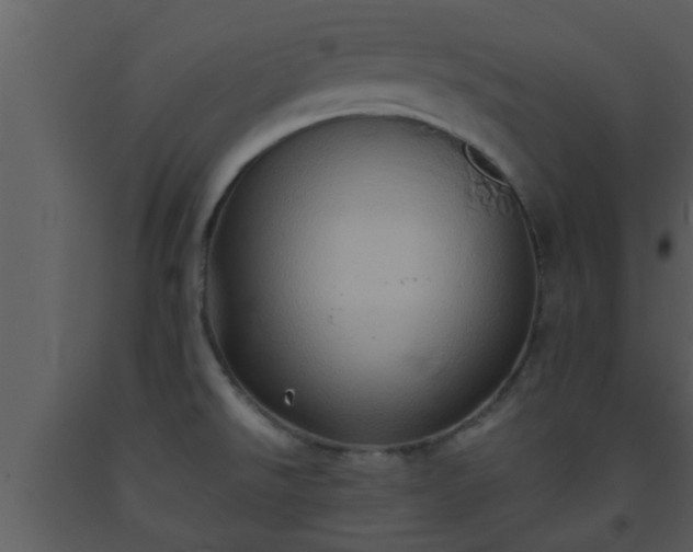 X0000093521526200710191321