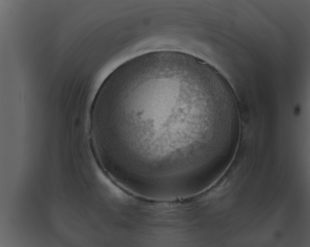 X0000093521527200710191321