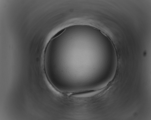 X0000093521528200710191321