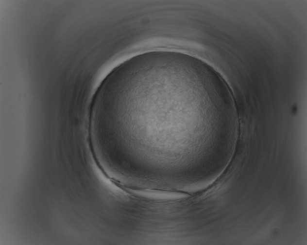 X0000093521531200710191321