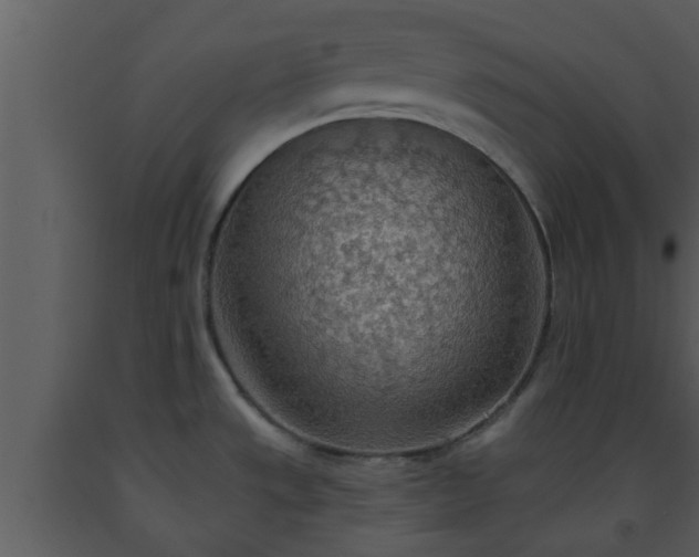 X0000093521533200710191321