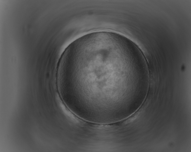 X0000093521534200710191321