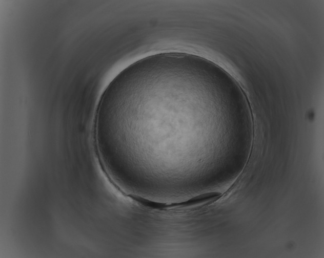 X0000093521536200710191321