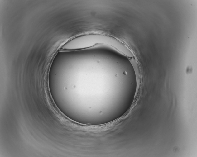 X0000093520001200710261230