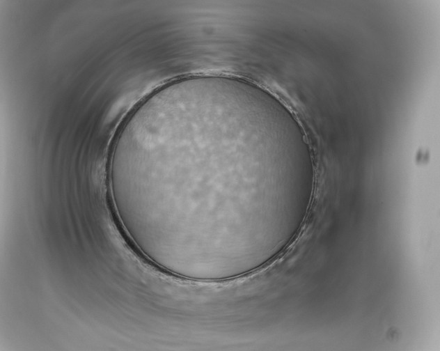 X0000093520002200710261230