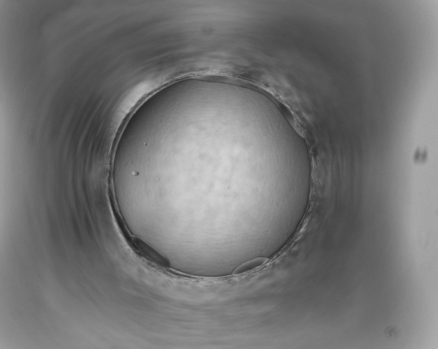 X0000093520003200710261230