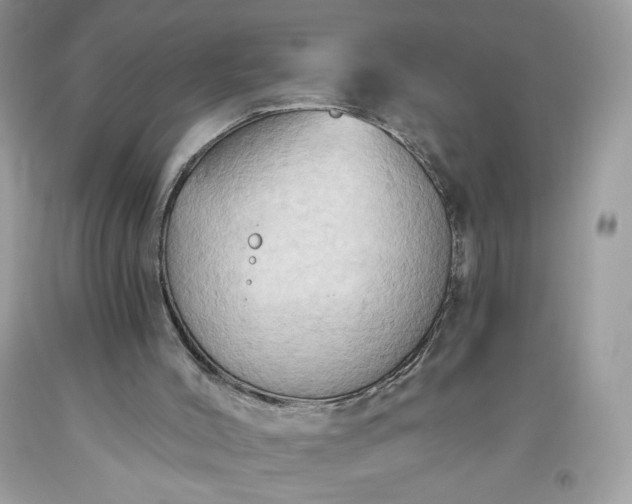 X0000093520004200710261230