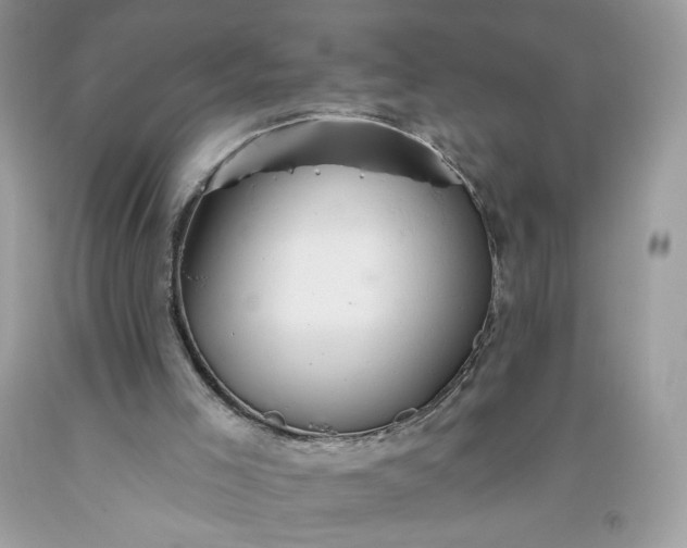 X0000093520005200710261230