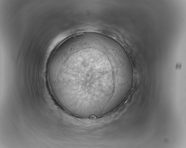 X0000093520006200710261230