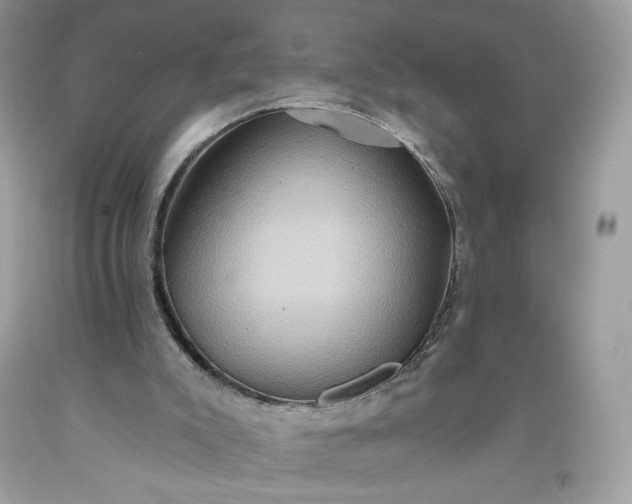 X0000093520007200710261230