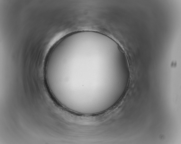 X0000093520008200710261230