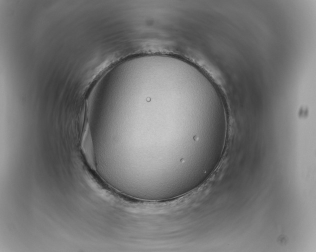 X0000093520009200710261230