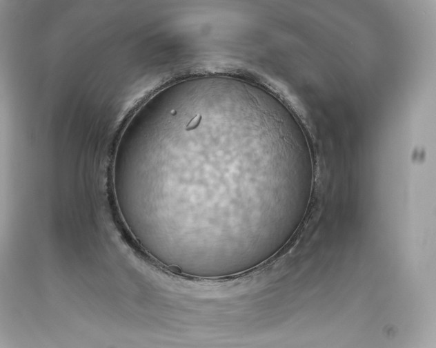 X0000093520010200710261230