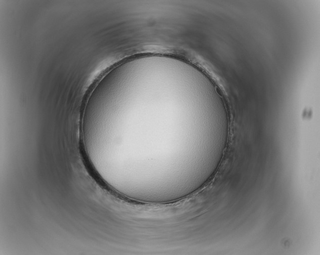 X0000093520011200710261230