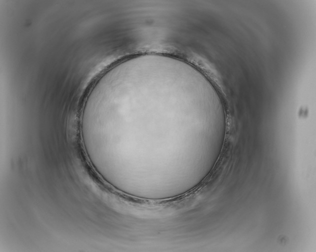 X0000093520012200710261230