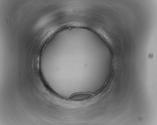 X0000093520014200710261229