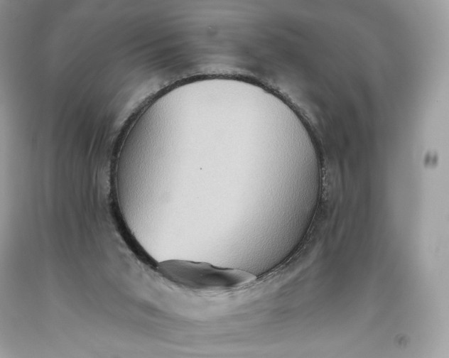 X0000093520015200710261229