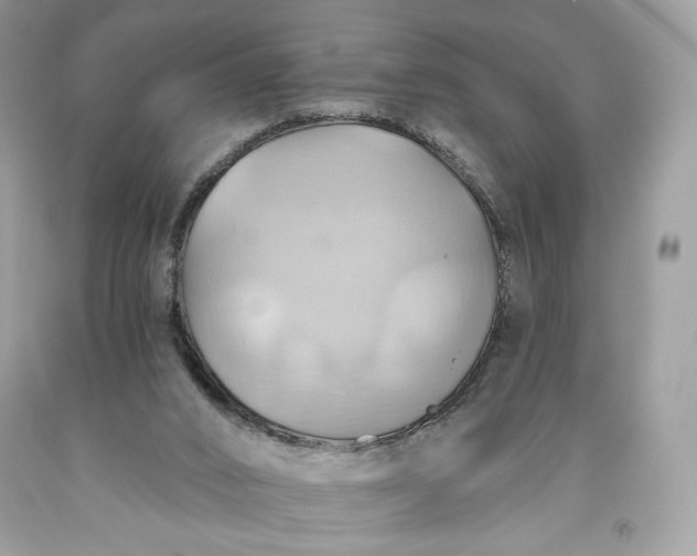 X0000093520016200710261229