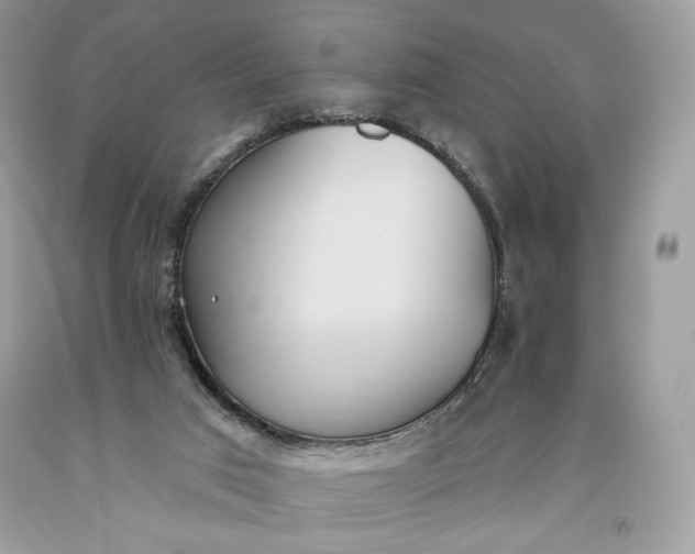 X0000093520017200710261229