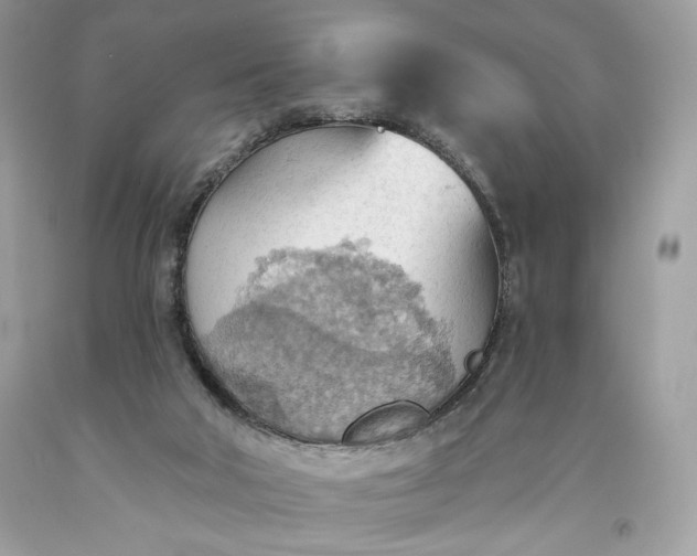 X0000093520018200710261229