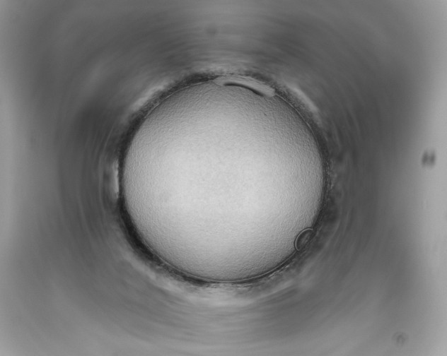 X0000093520020200710261229