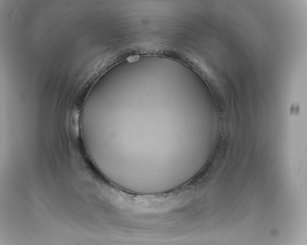 X0000093520022200710261229