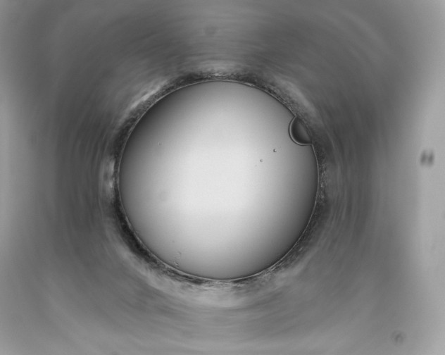 X0000093520024200710261229