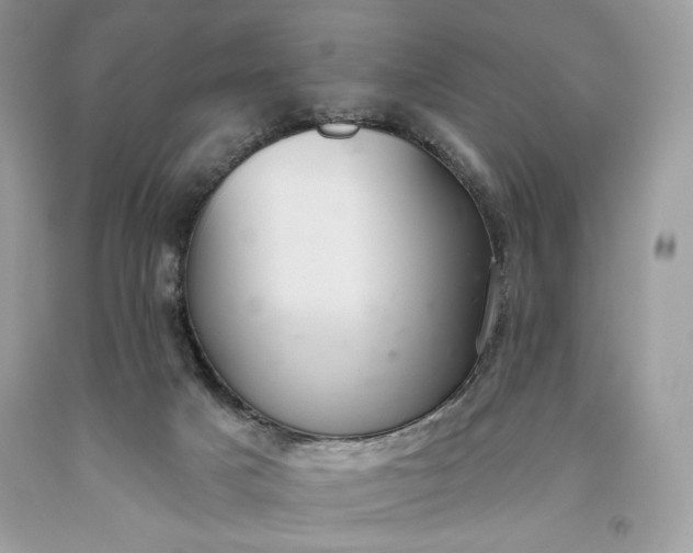 X0000093520025200710261229