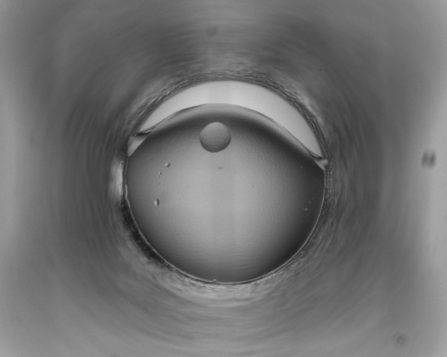 X0000093520027200710261229