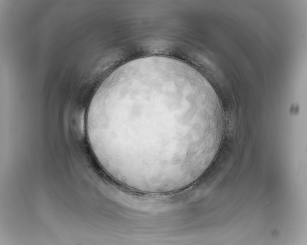 X0000093520028200710261229