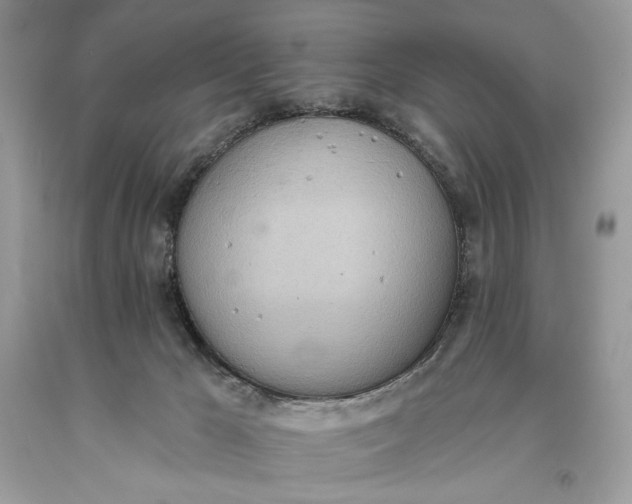 X0000093520029200710261229