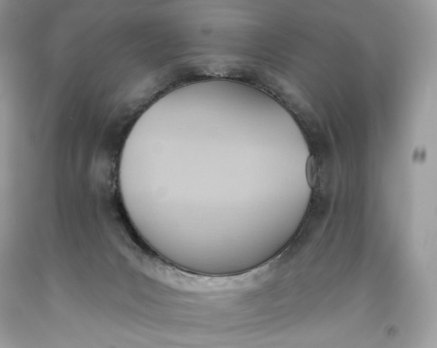 X0000093520031200710261229