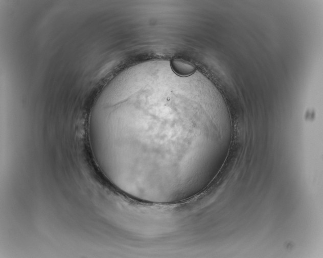 X0000093520032200710261229