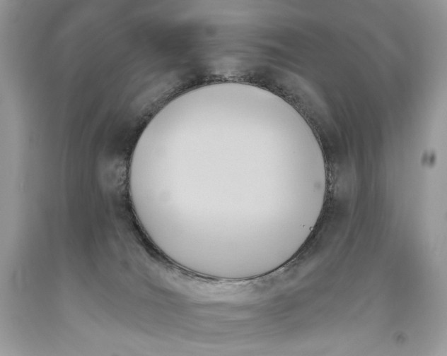 X0000093520036200710261229