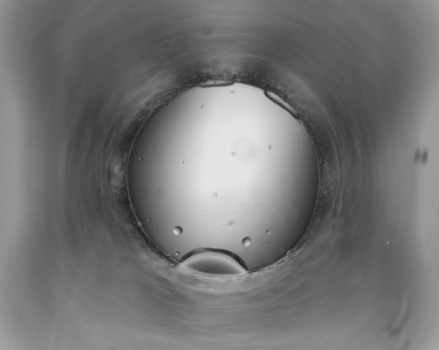 X0000093520037200710261229