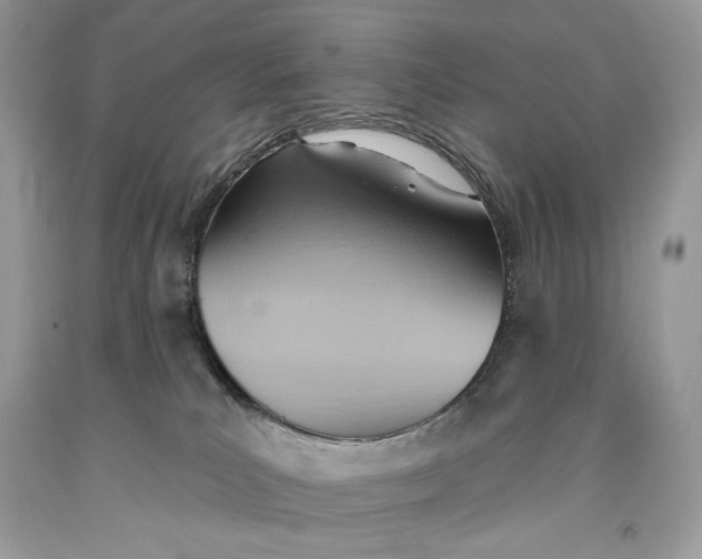 X0000093520039200710261229