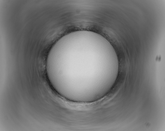 X0000093520040200710261229