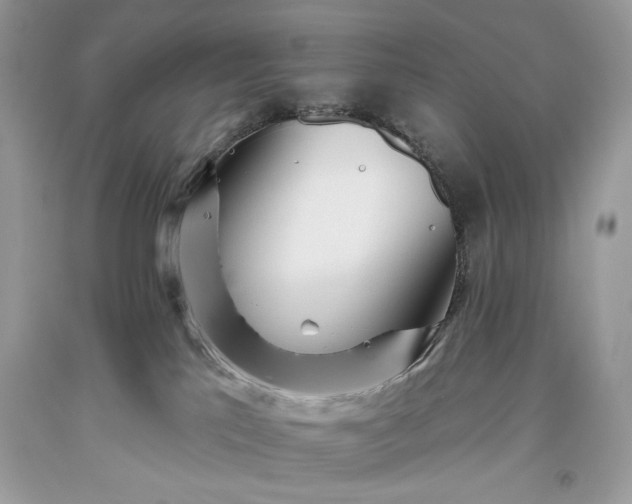 X0000093520041200710261229