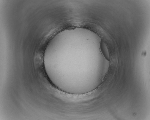 X0000093520043200710261229