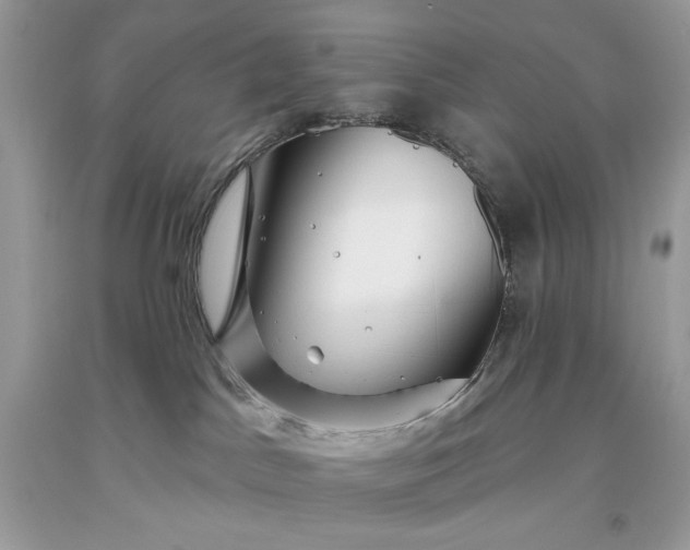 X0000093520045200710261229