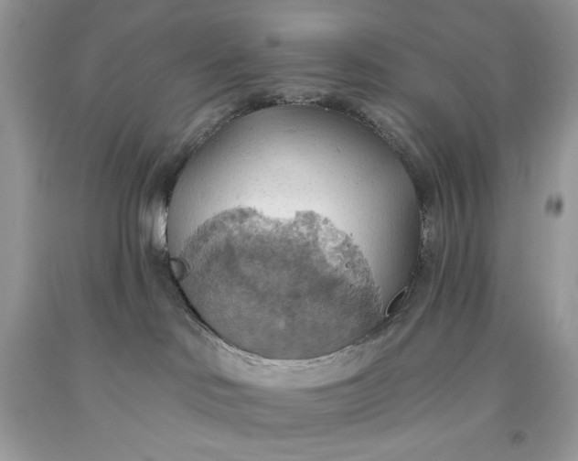 X0000093520046200710261229