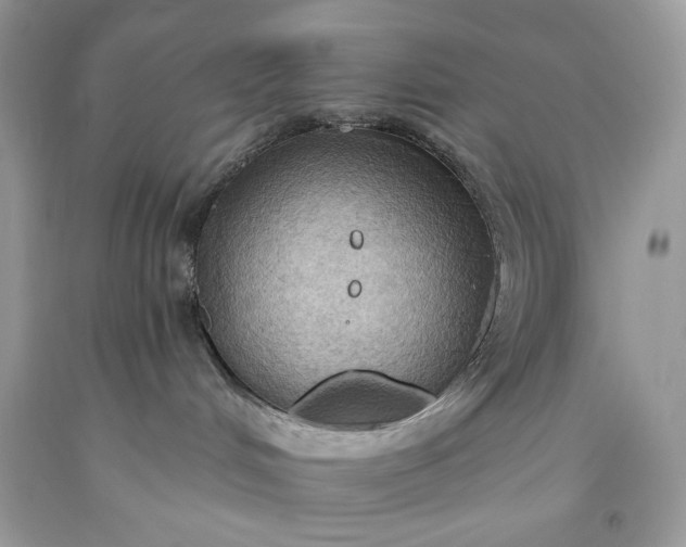 X0000093520048200710261229