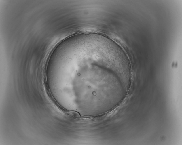 X0000093520049200710261228