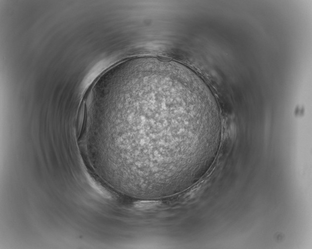 X0000093520051200710261228