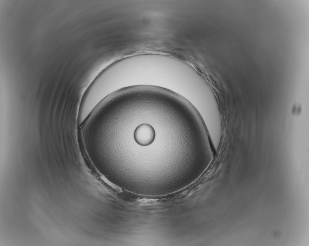 X0000093520052200710261228