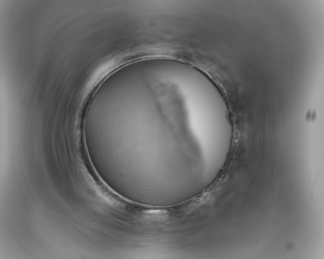 X0000093520053200710261228