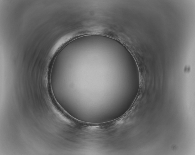 X0000093520054200710261228