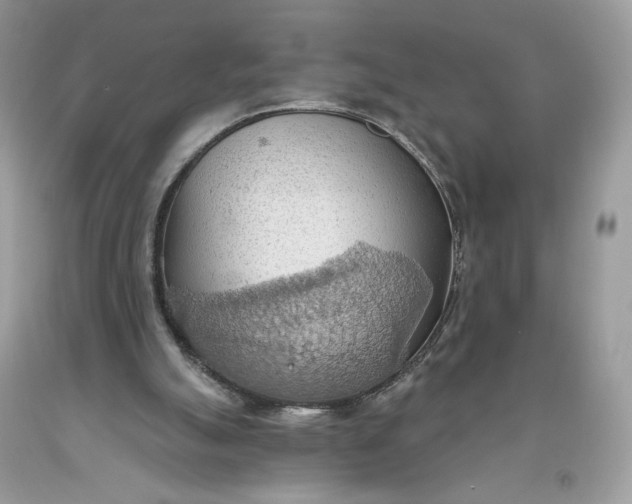 X0000093520055200710261228