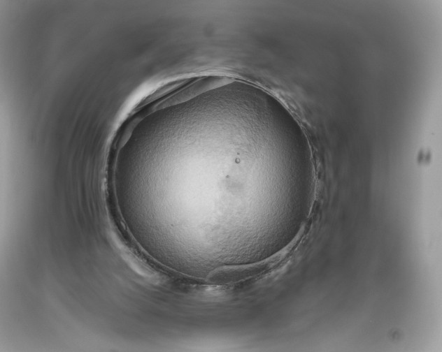 X0000093520056200710261228