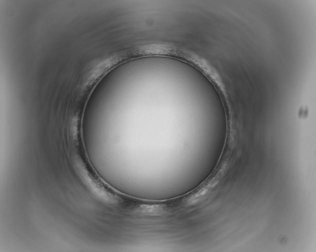 X0000093520057200710261228